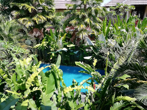 乌布塔纳瑟穆简酒店主图