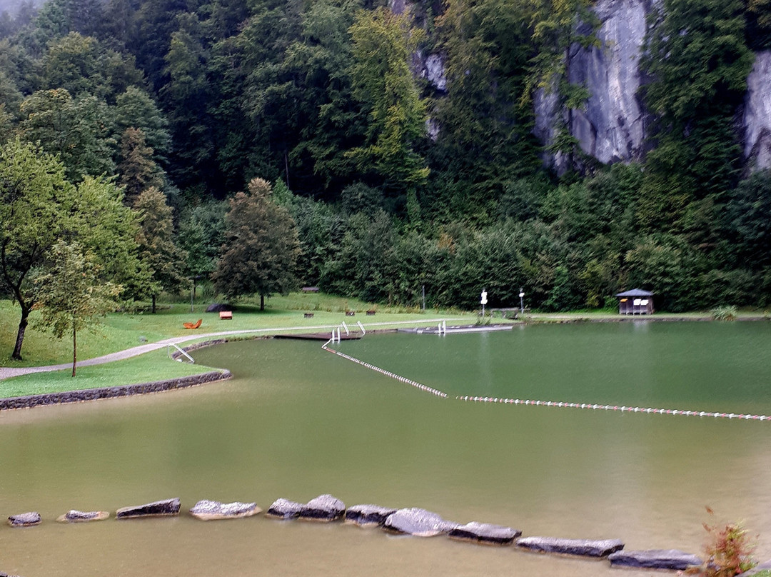 Luegsteinsee景点图片