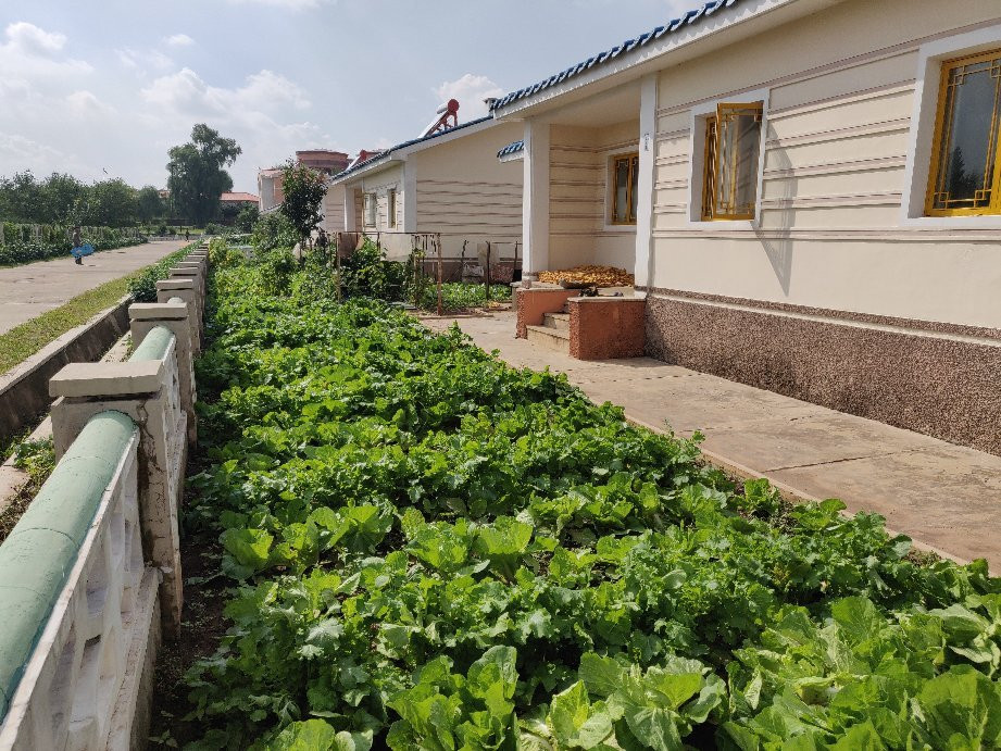 Chongsan-ri Cooperative Farm-Nampo必去景点