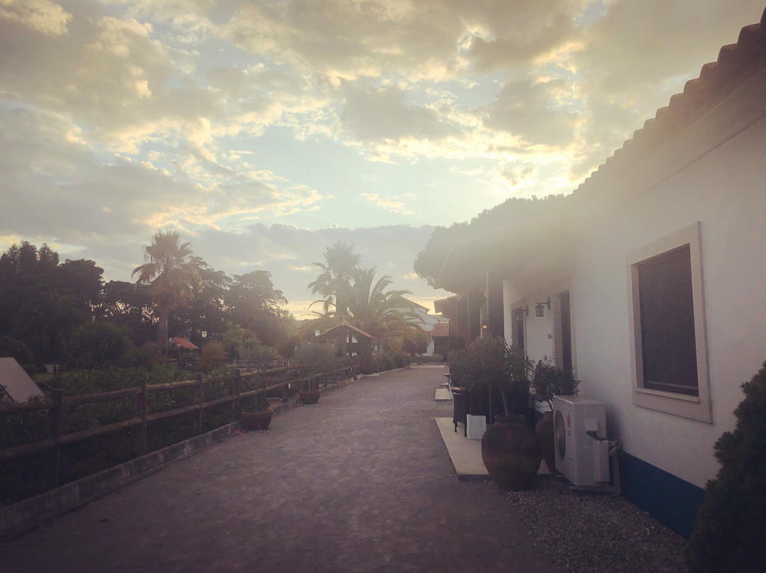Quinta Da Olivia主图
