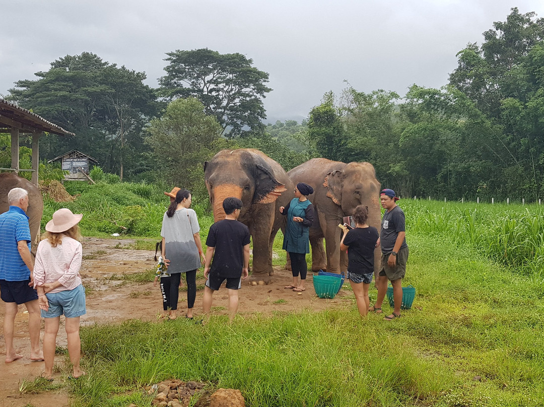 Elephant Family Care-讪巴东必去景点