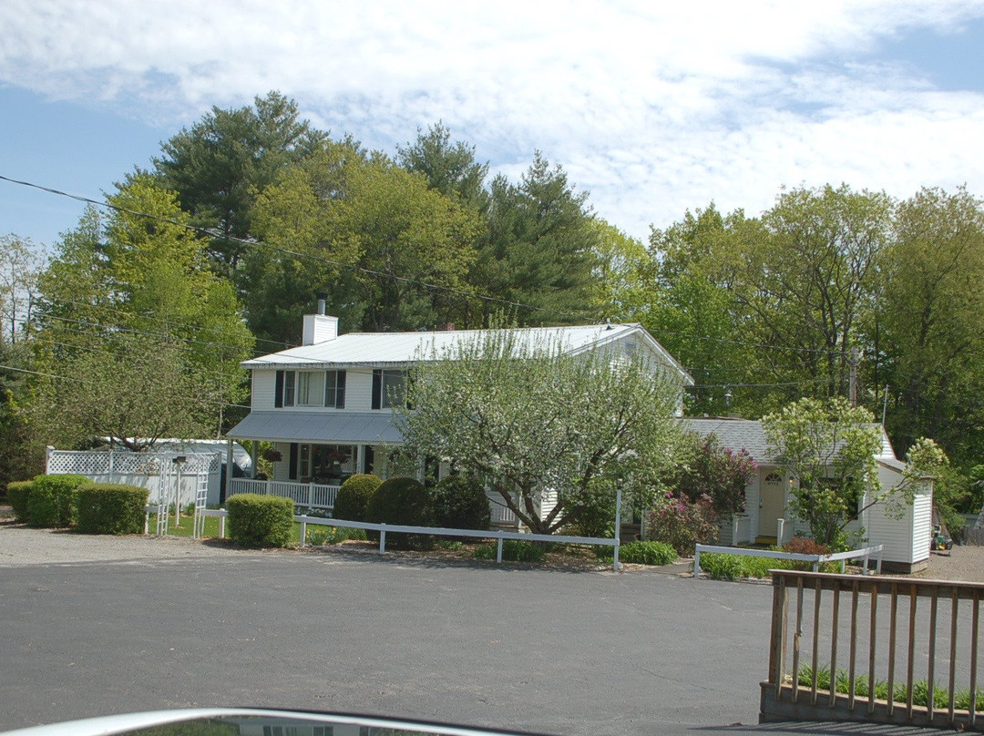 Maple Leaf Motel主图