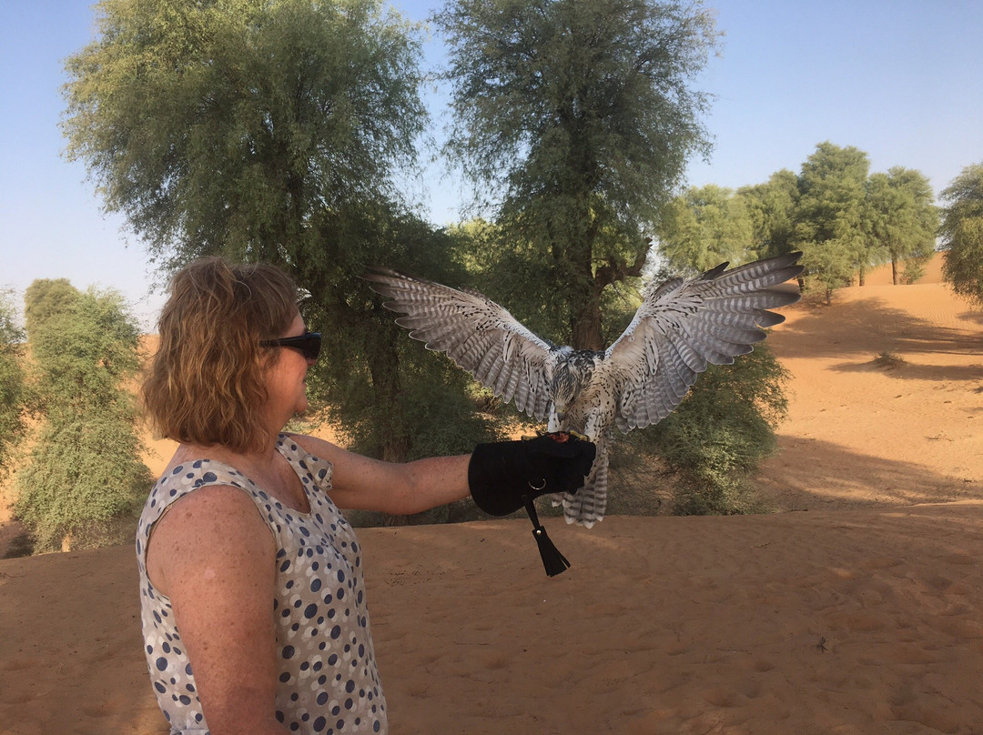 Royal Shaheen Events-迪拜必去景点