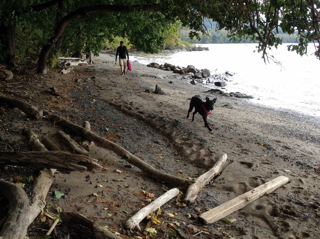 Scenic Hudson's Long Dock Park-Beacon必去景点