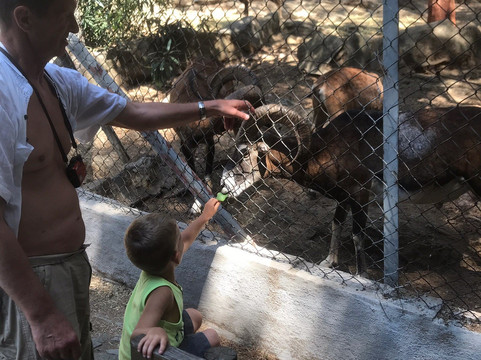 Thessaloniki Zoo-Agios Pavlos必去景点
