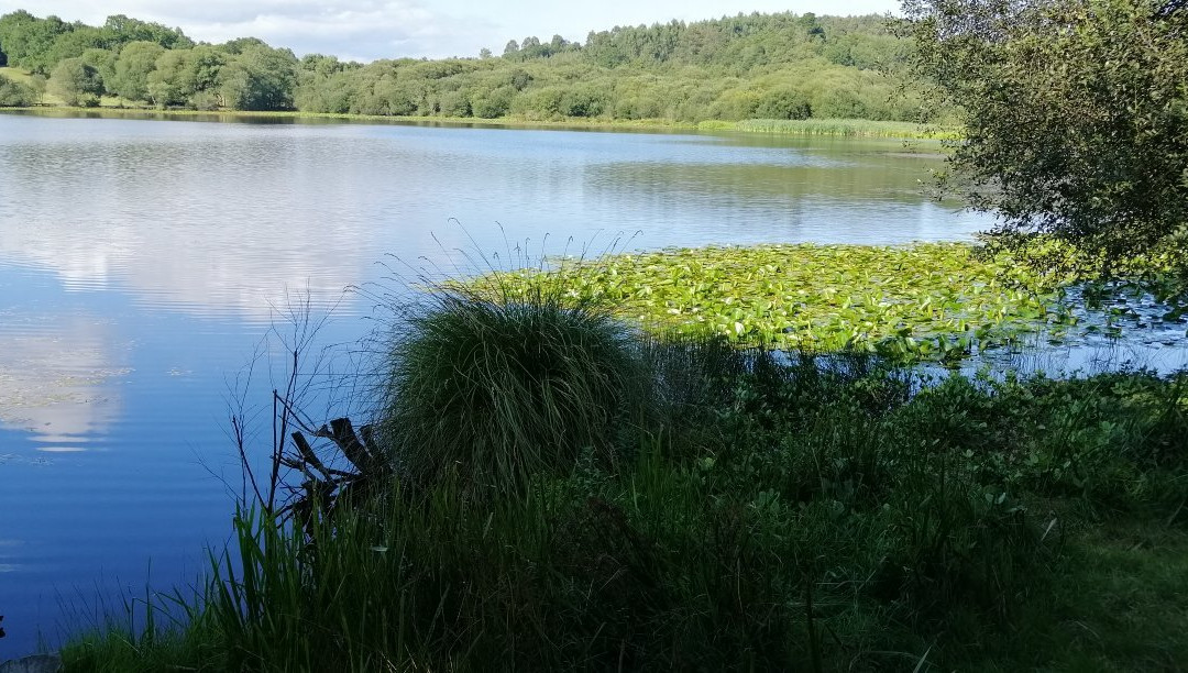 Lagoa de Sobrado景点图片