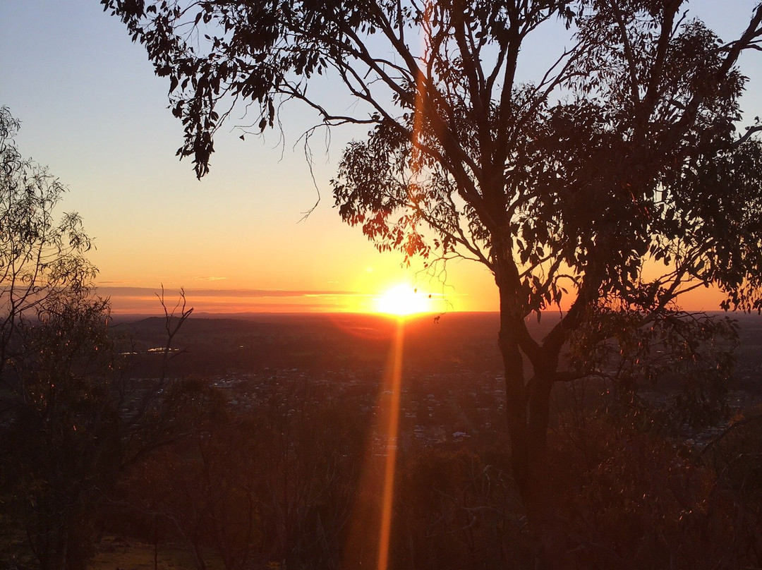 Balmattum Hill Walking Track景点图片