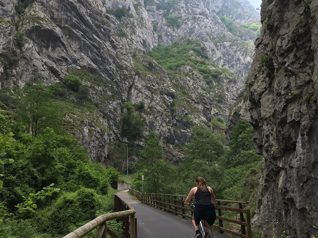 Senda del Oso景点图片
