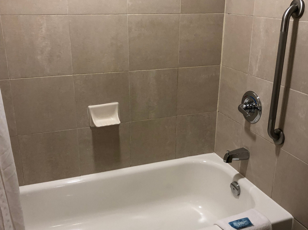 亨茨维尔智选假日套房酒店主图