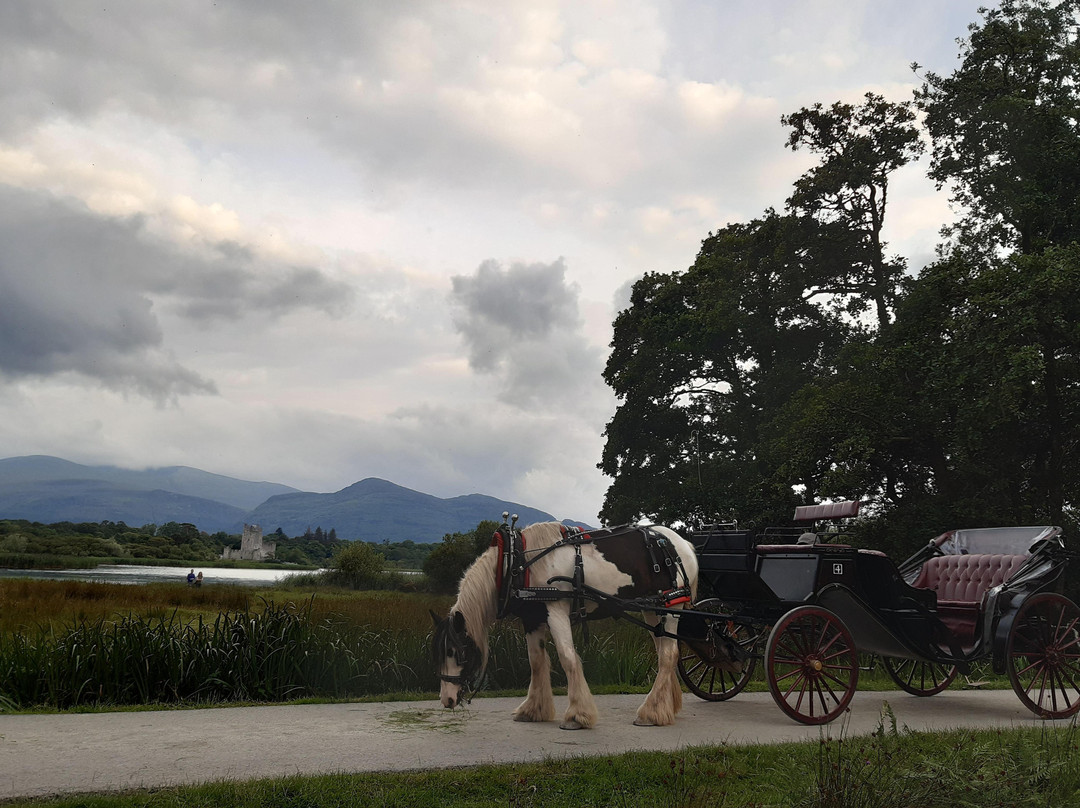 McCarthys Killarney Carriage Rides-基拉尼必去景点