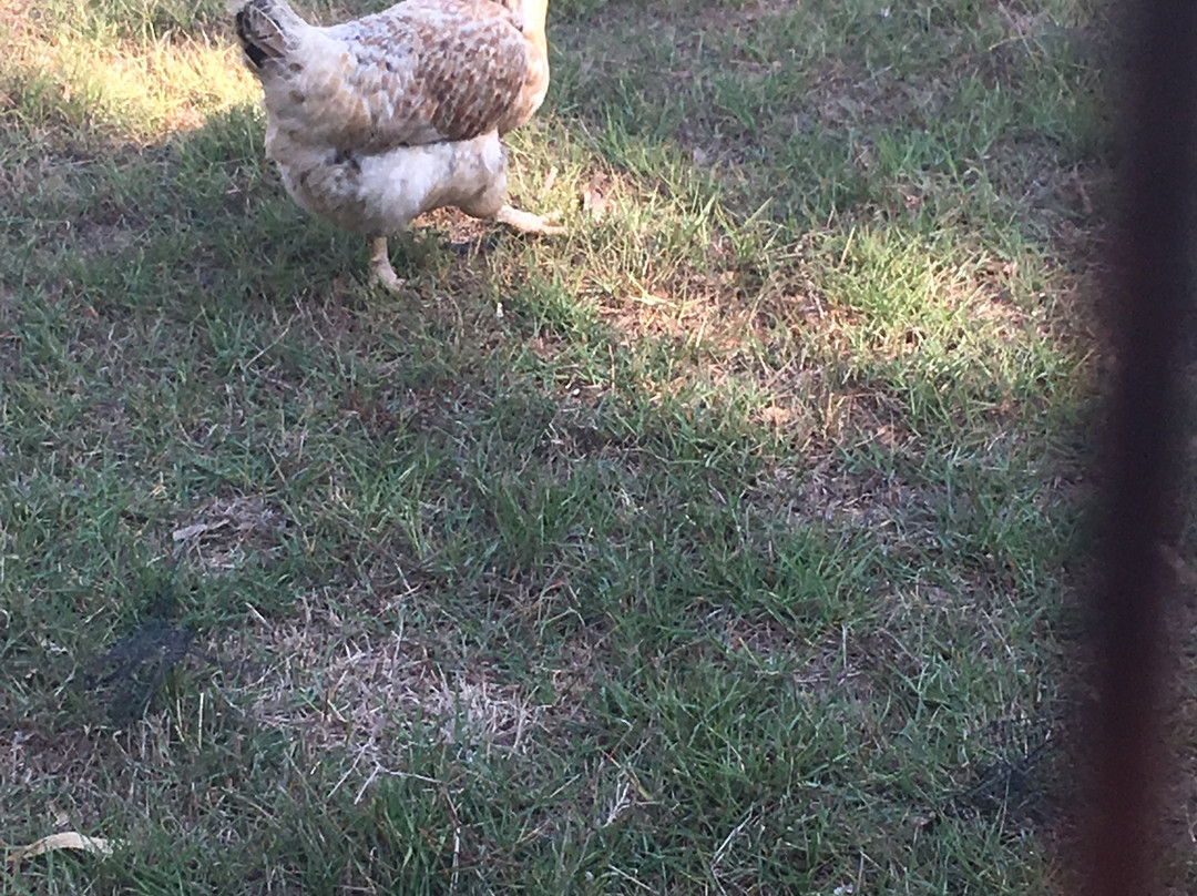 金沙宾馆主图