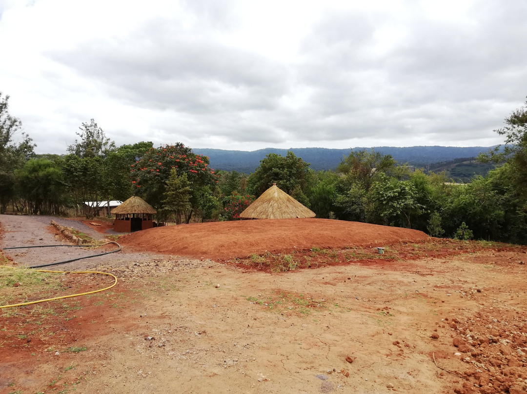 Stc Safari Lodge主图