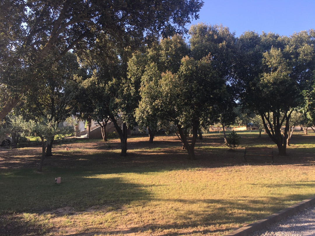 Sa Reina Bed and Breakfast主图