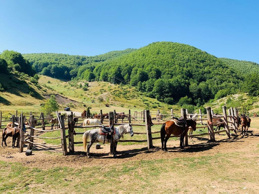Sherpa Horse Riding-Galicnik必去景点