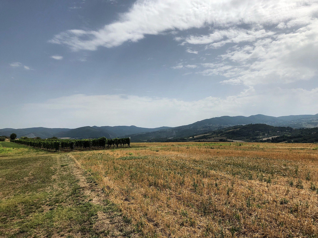 Agriturismo Case Nuove