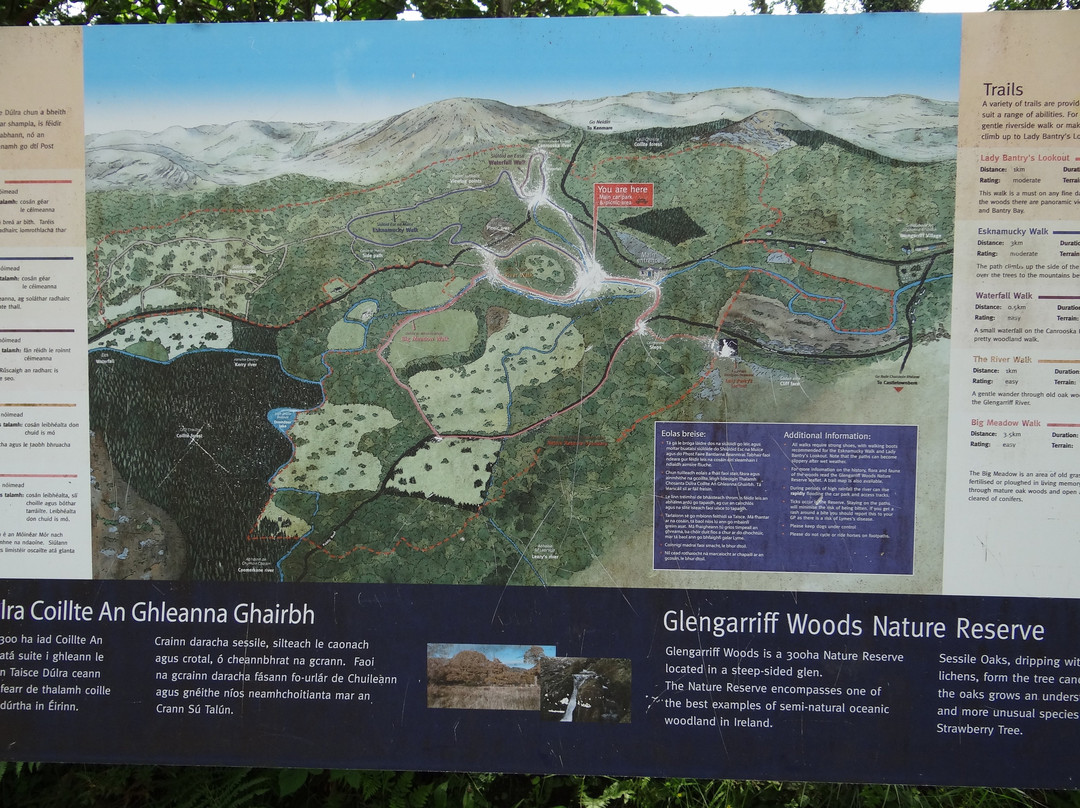 Glengariff Woods景点图片