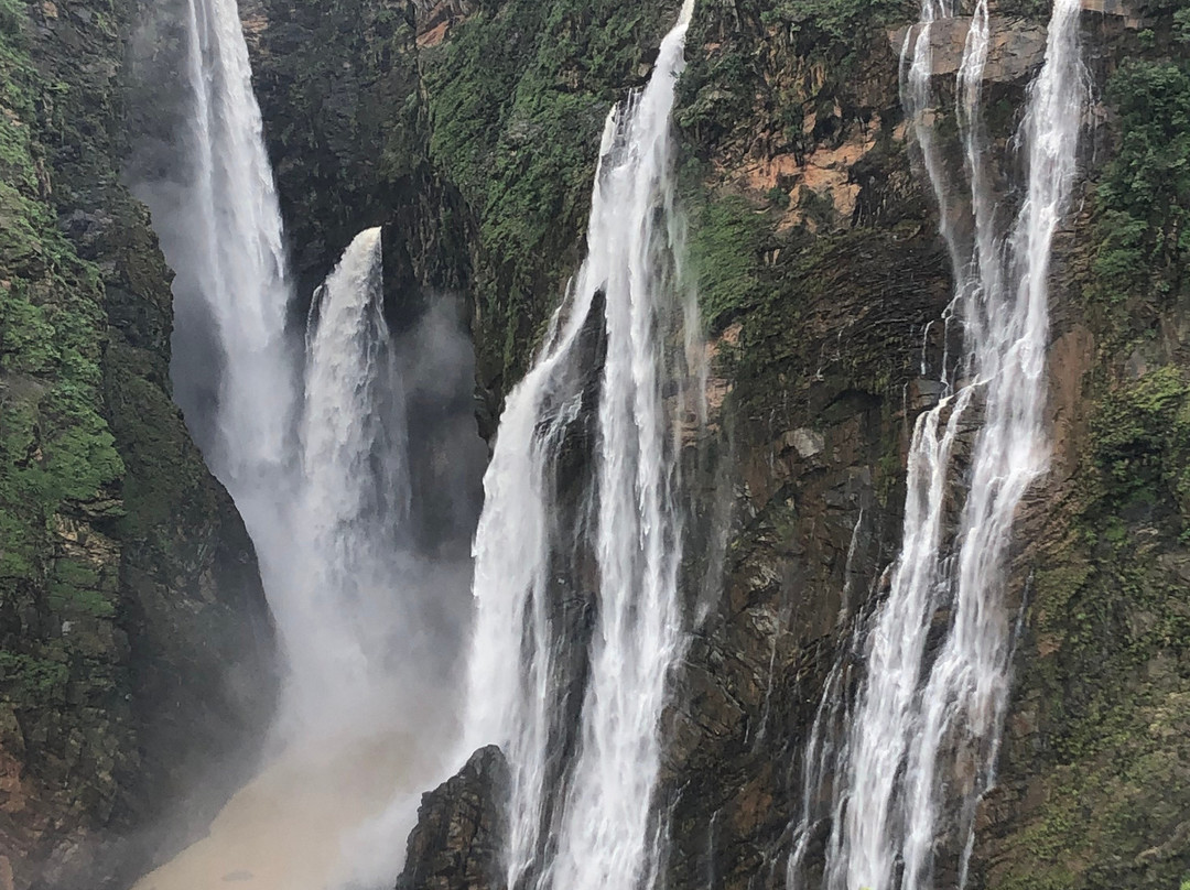 Jog Falls景点图片