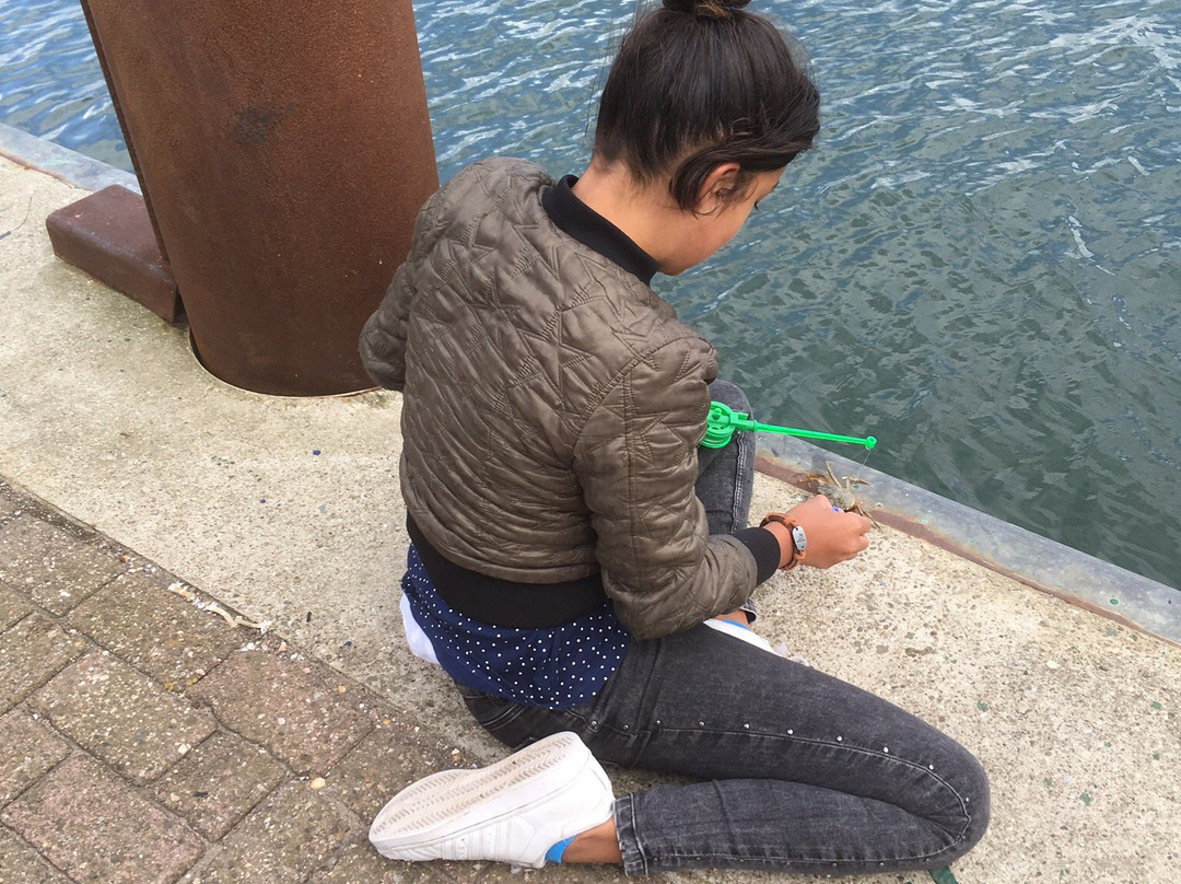 Oudeschild, Texel-特塞尔必去景点