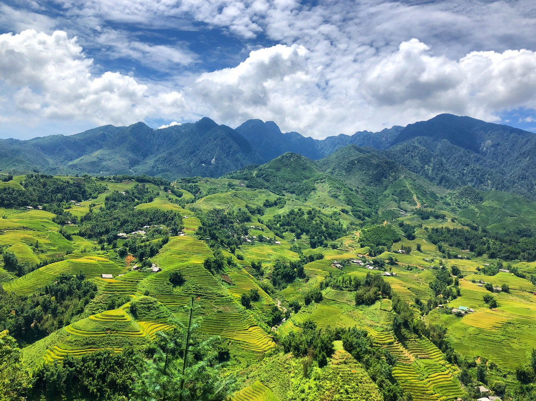 Sapa Local Tours-河内必去景点