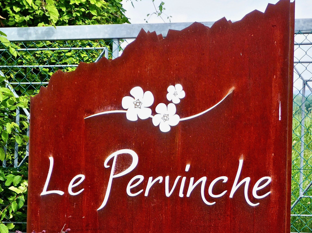 Le Pervinche主图