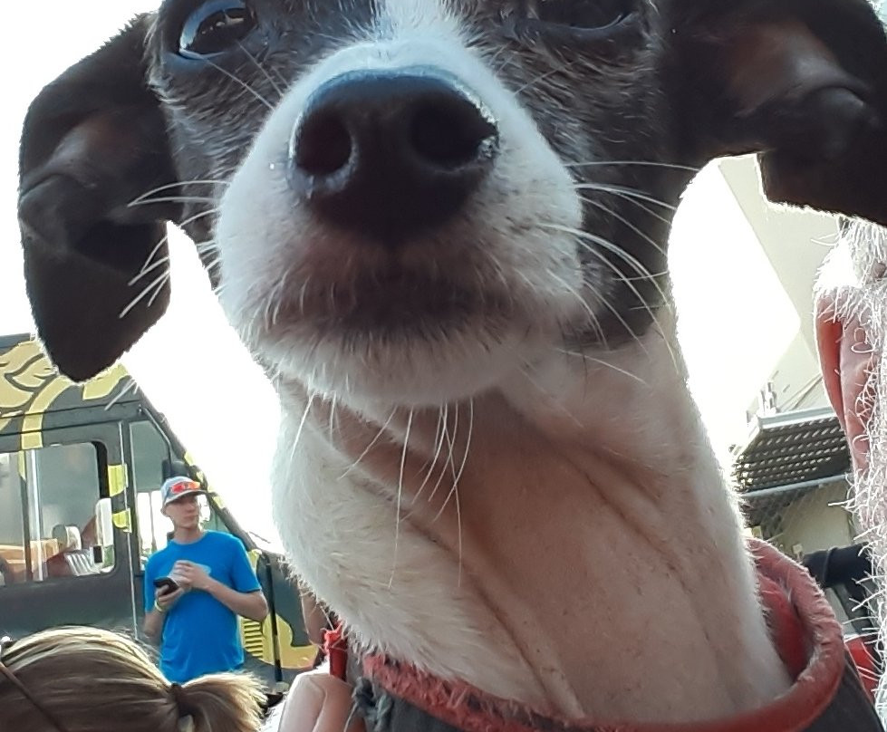 The Blacktooth Brewing Company-谢里登必去景点