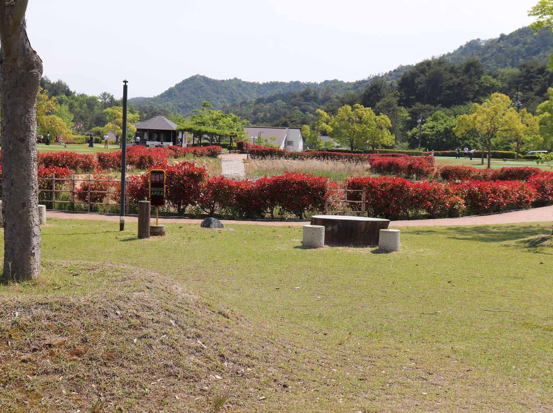 Miyama Park景点图片