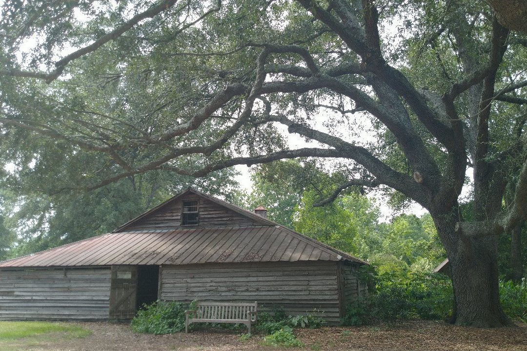 Garden of the Coastal Plain at Georgia Southern University景点图片