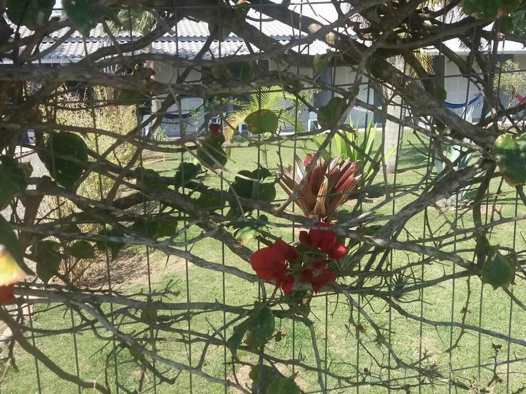 Capri Beach (Ponta de Capri)-Sao Francisco do Sul必去景点