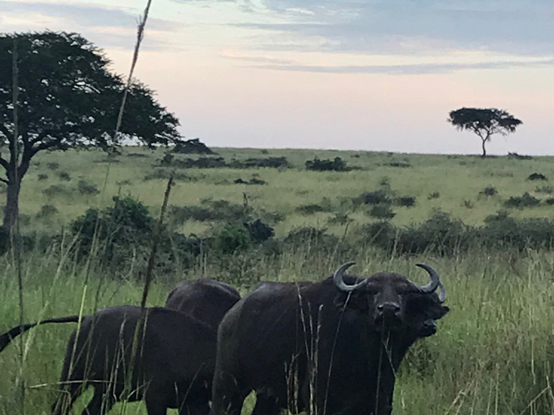 Triple Tee Adventures Ltd-坎帕拉必去景点