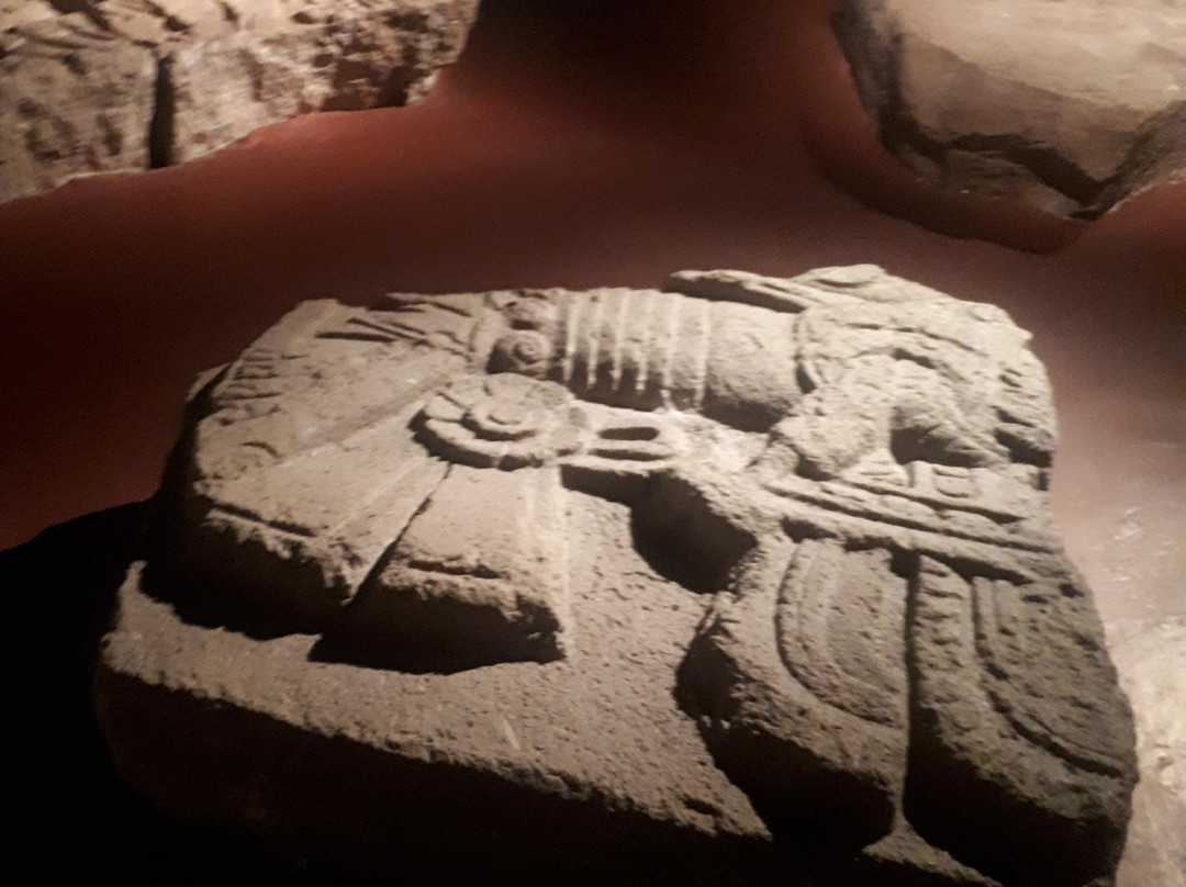 大神庙博物馆-墨西哥城必去景点