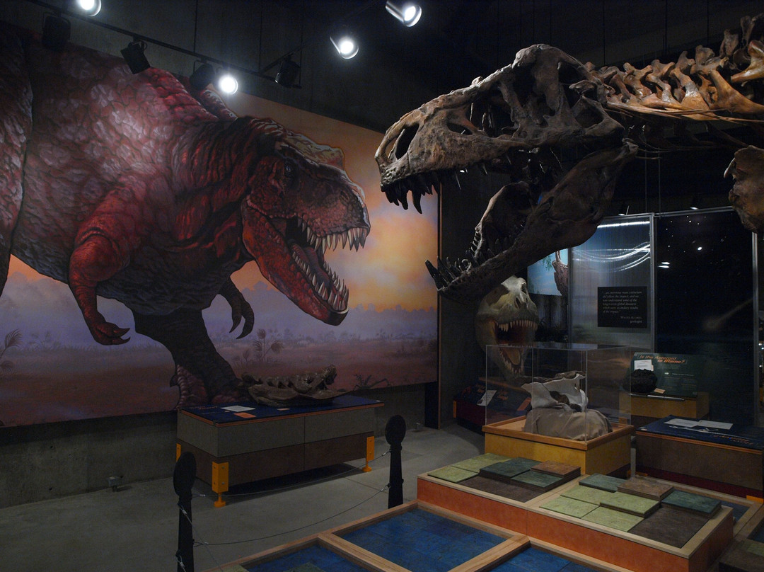 T. rex Discovery Centre-Eastend必去景点
