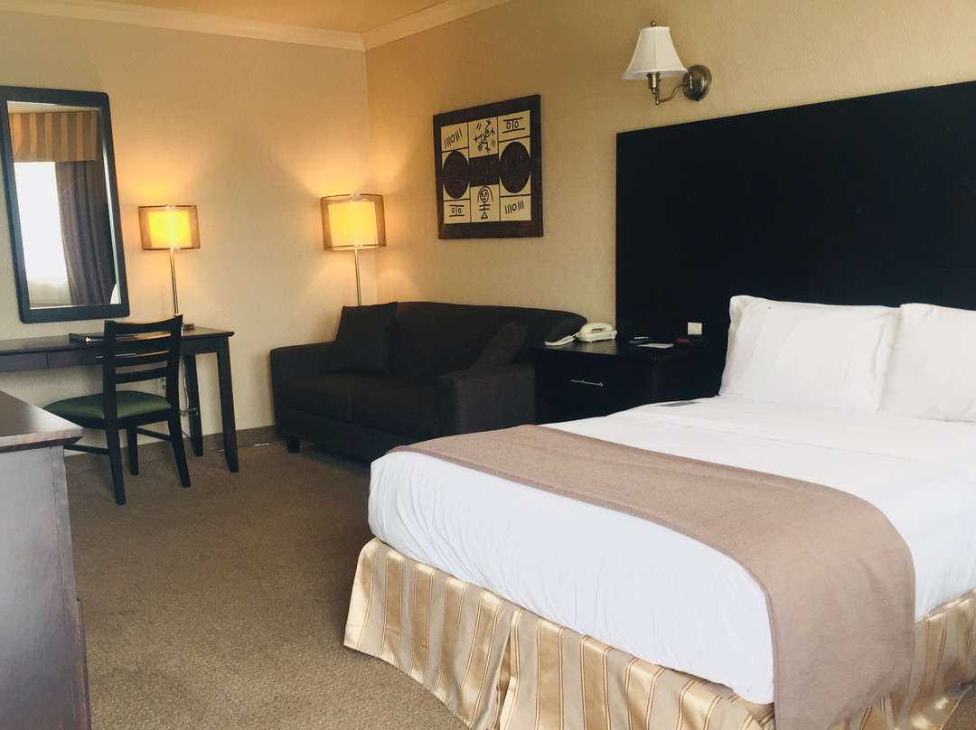 Hotel-Motel Coconut主图