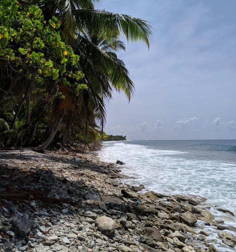 Vieni Qua Grand主图