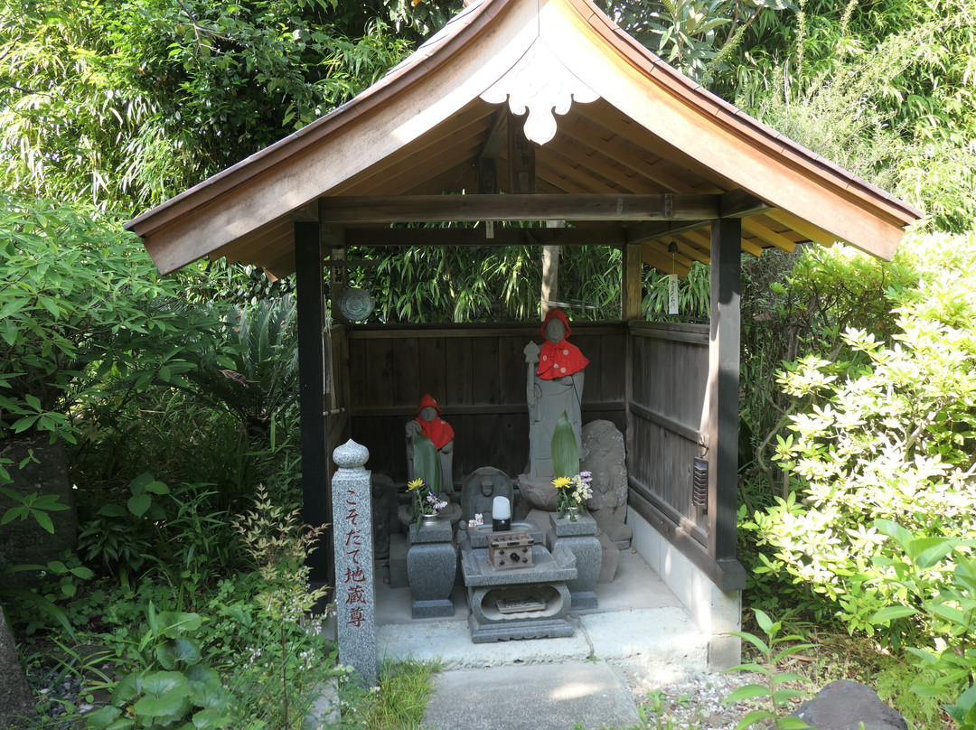 Koshoji Temple-镰仓市必去景点