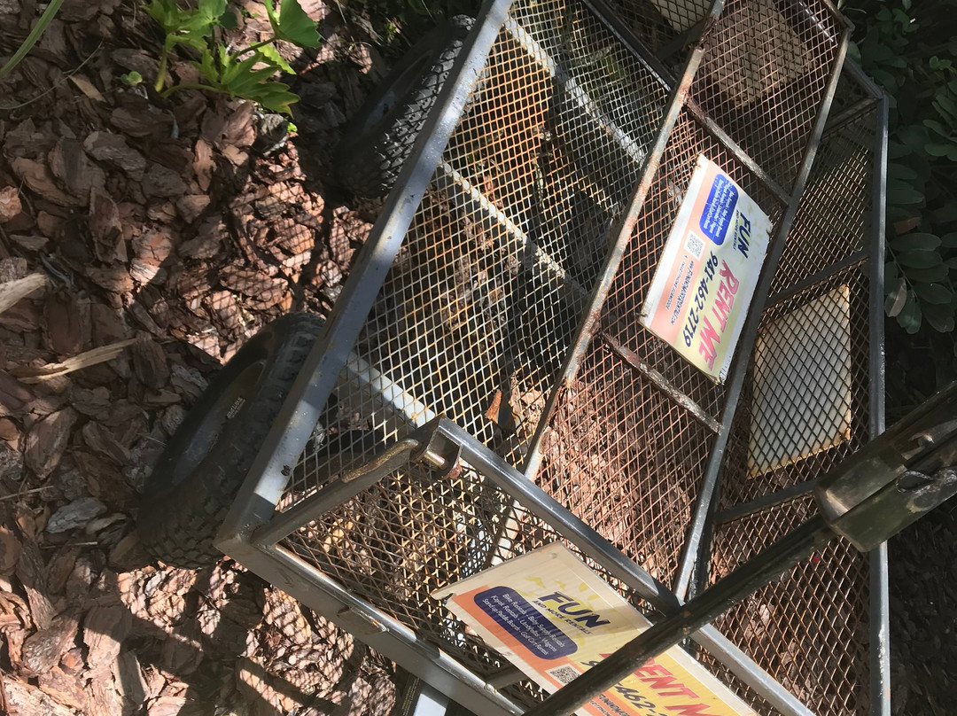 Fun And More Rentals-Holmes Beach必去景点