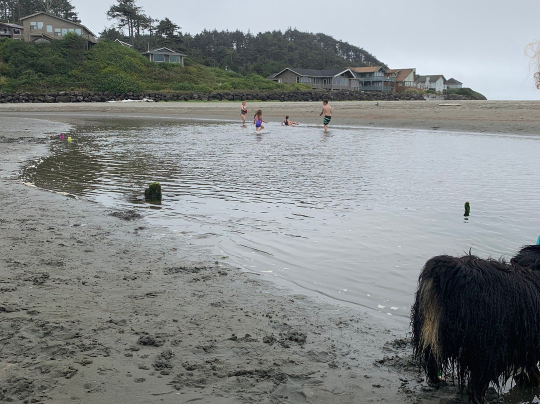 Pacific Beach State Park景点图片