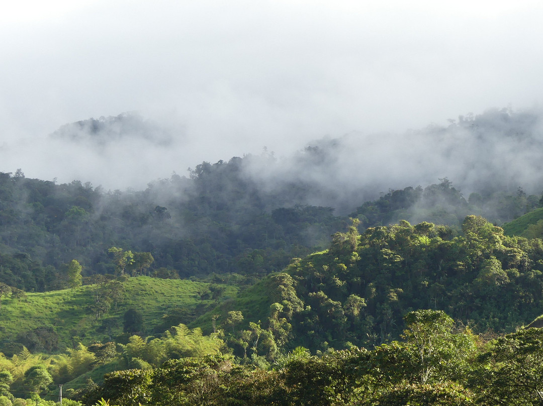 Las Terrazas de Dana Boutique Lodge Spa主图