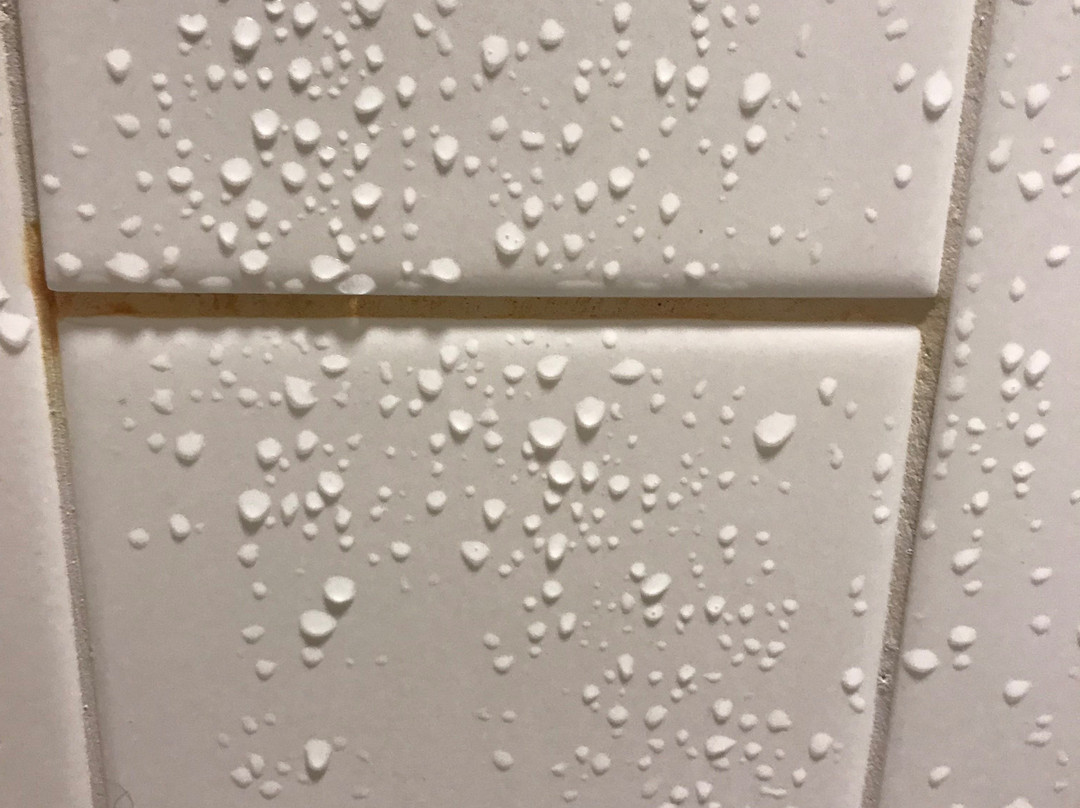 Hilton Garden Inn Buffalo Downtown主图