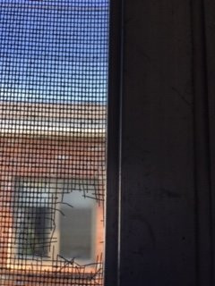 小镇海滩汽车旅馆主图