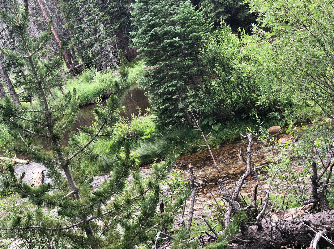 Hessie Trailhead-Nederland必去景点