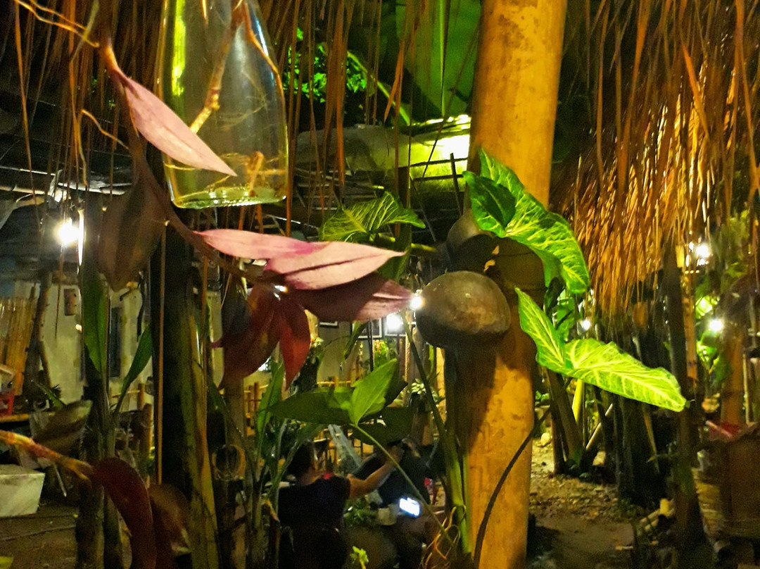 Coffee Homestay Lang Ho主图