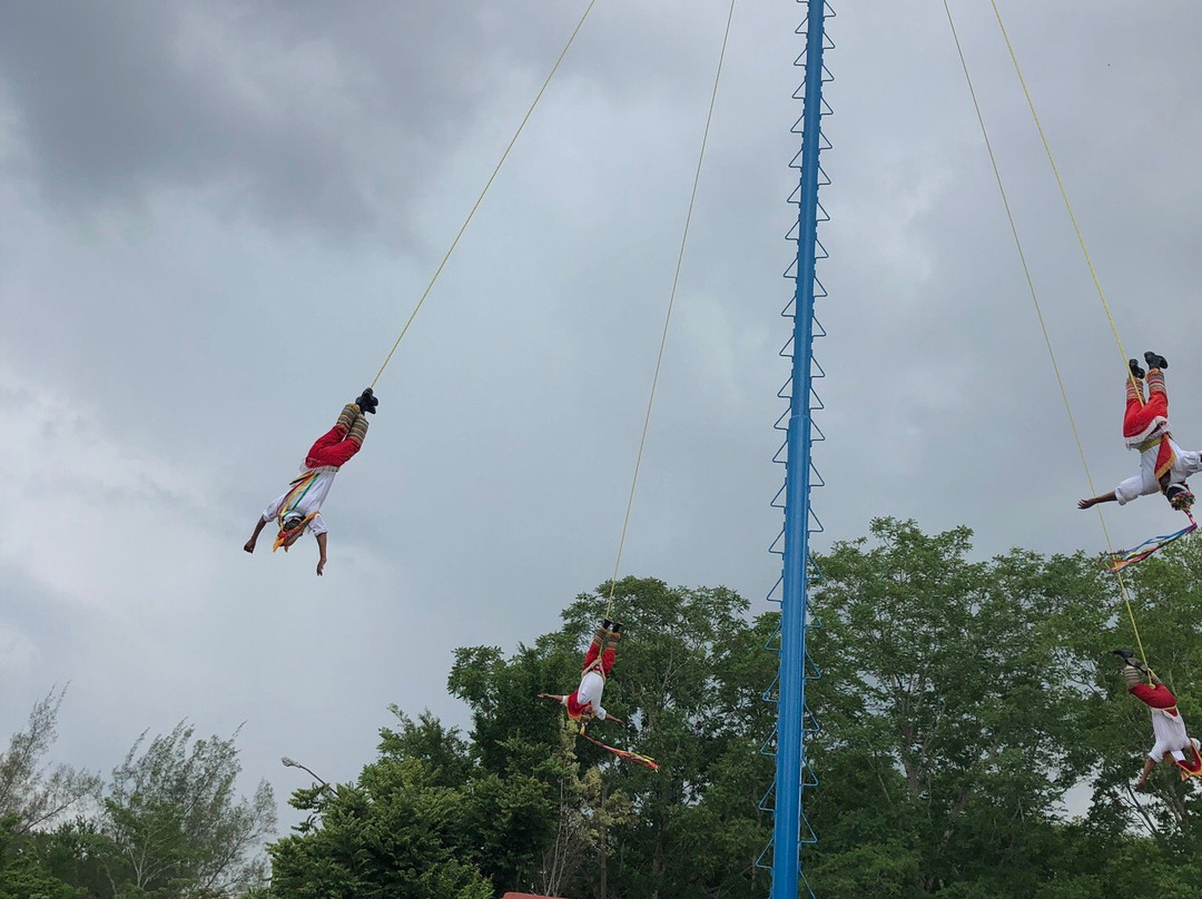 Los Voladores of Papantla-韦拉克鲁斯必去景点