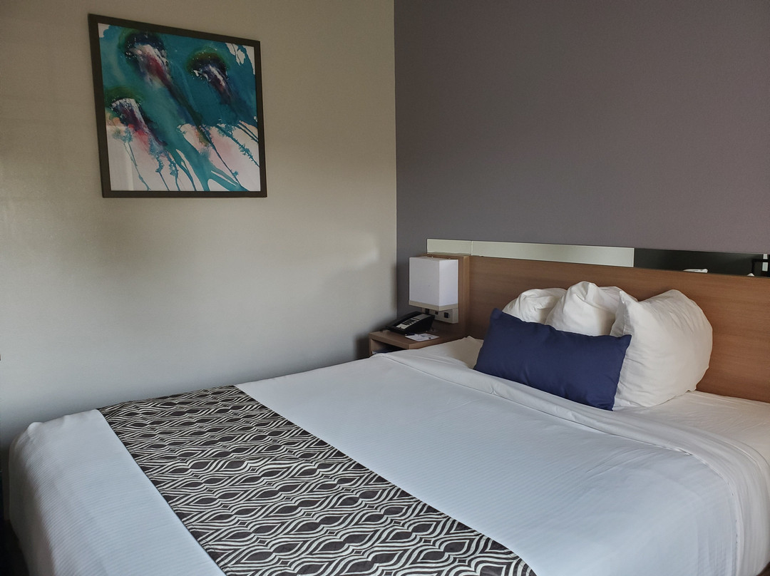 Microtel Inn & Suites by Wyndham Ocean City主图