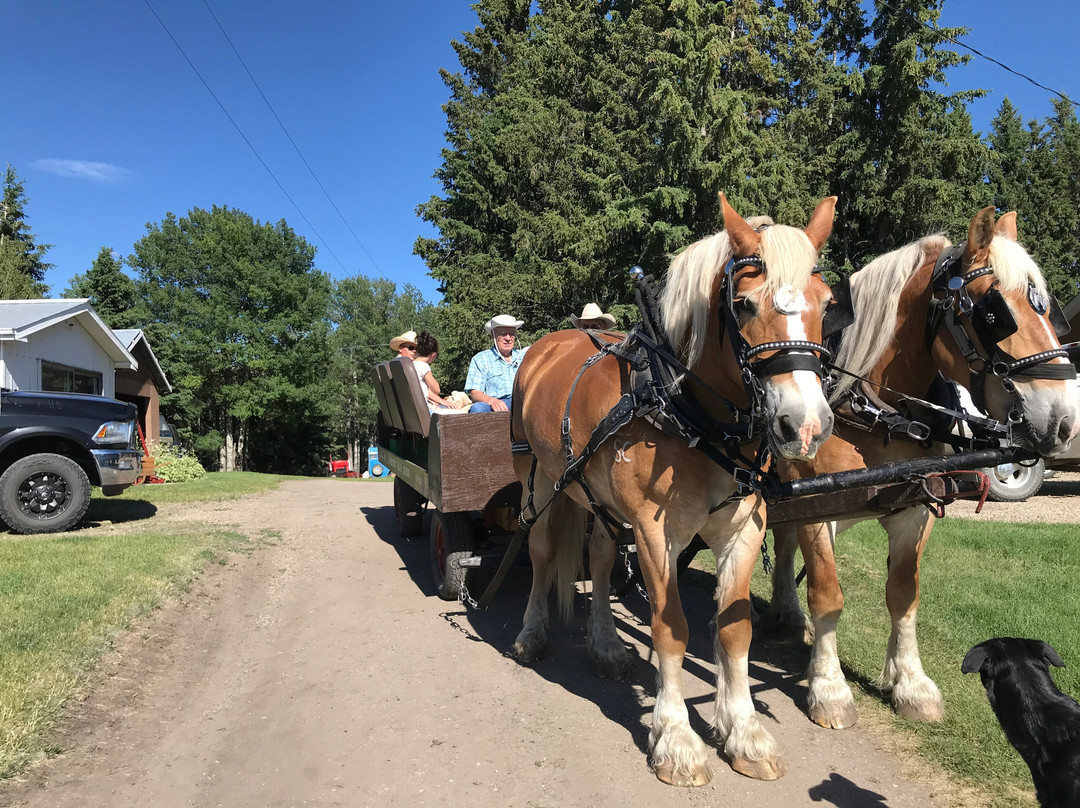 Double Tree Village Museum-Spruce View必去景点