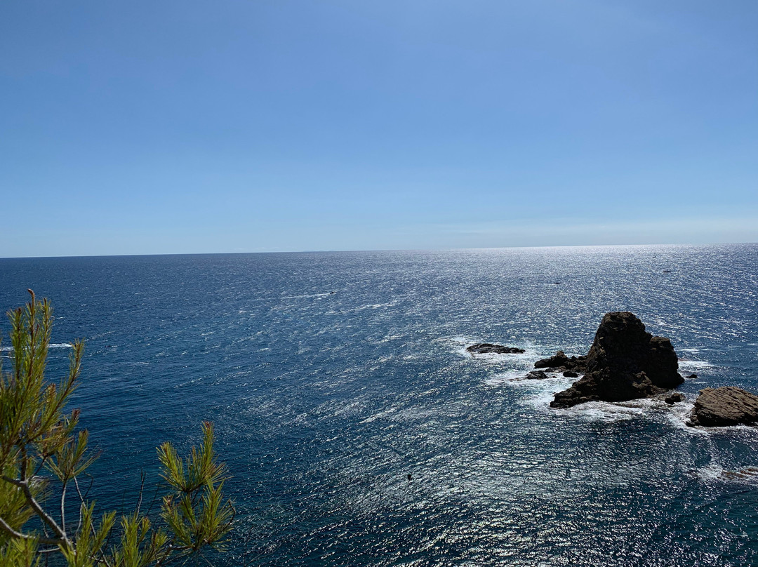 Cala Sardinera景点图片