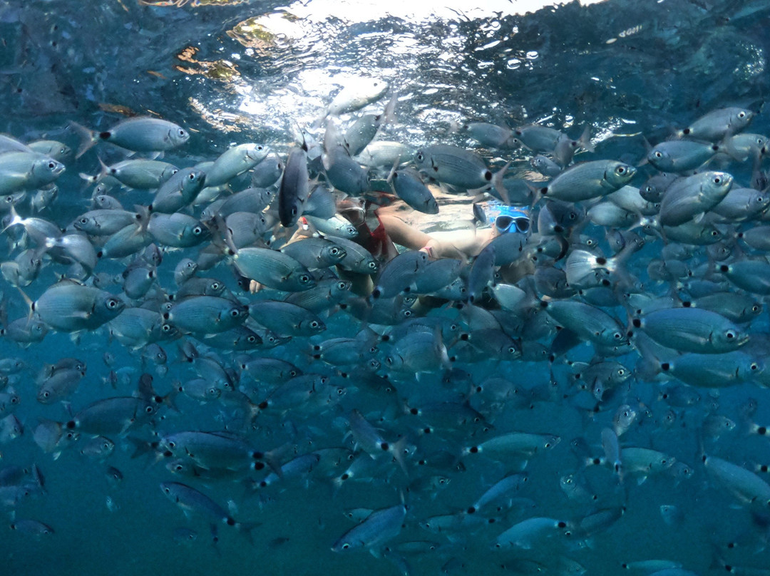 kayak tours | pulsevents.hr-普拉必去景点