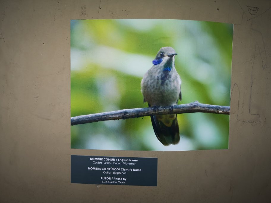 Ruta Turística MIO Cable-卡利必去景点