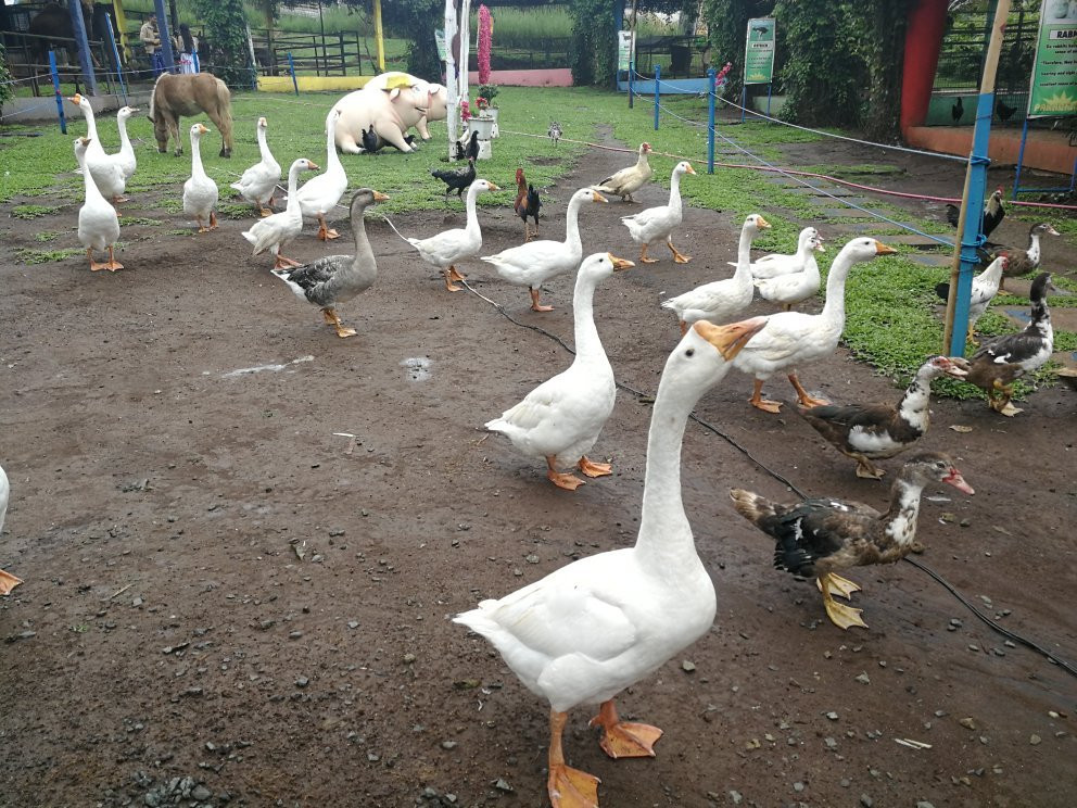 Paradizoo-Mendez必去景点