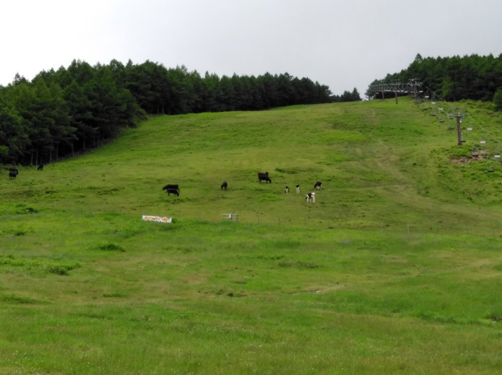 Yunomaru Ski Area-东御市必去景点