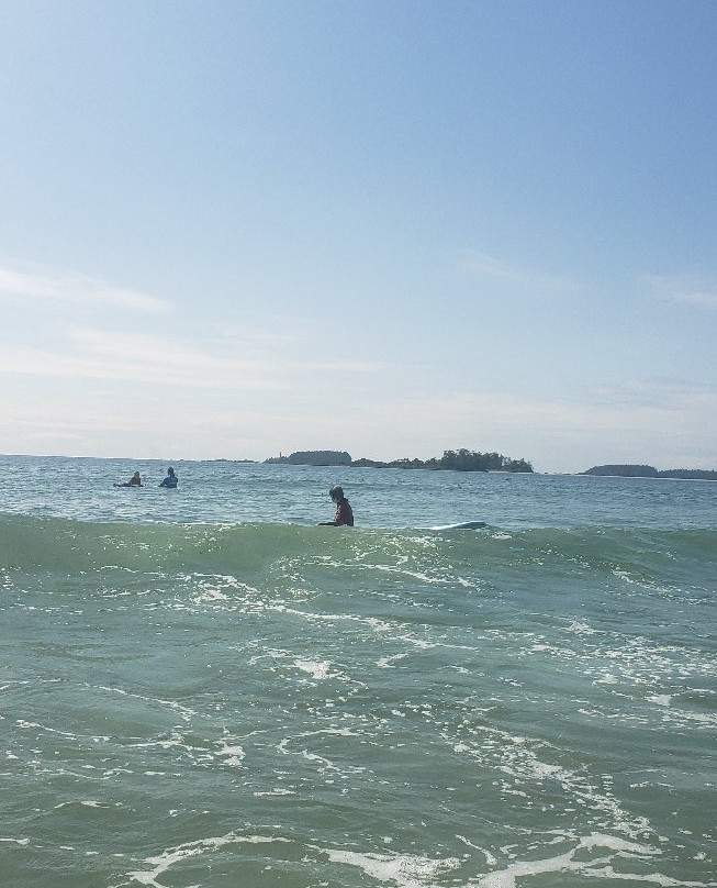 Tofino Surf Adventures景点图片